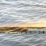 Gabriele Dickie - Abends am See
